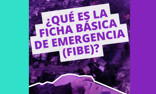 Diccionario de la Vivienda🏠 #21 I ¿QUE ES LA FICHA BÁSICA DE EMERGENCIA (FIBE)?